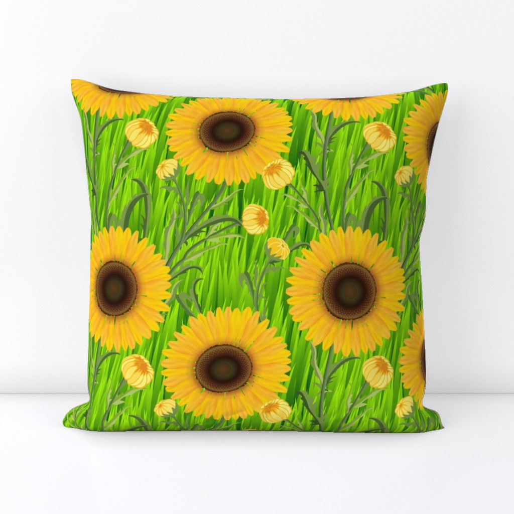 Sunflowers in Green Grass