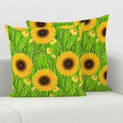 Sunflowers in Green Grass