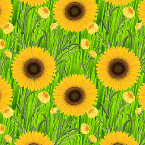 Sunflowers in Green Grass