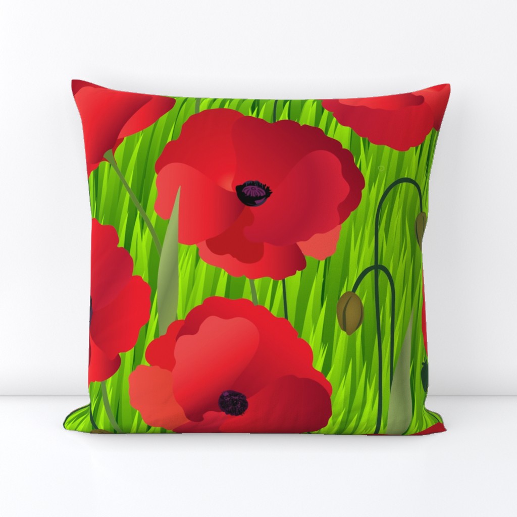 Red Poppy Flowers on Grass