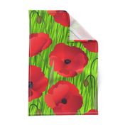 Red Poppy Flowers on Grass