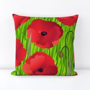 Red Poppy Flowers on Grass