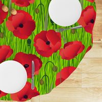 Red Poppy Flowers on Grass