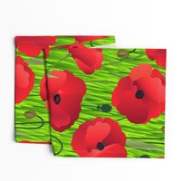 Red Poppy Flowers on Grass