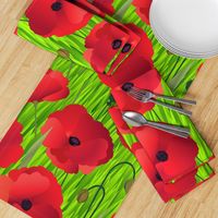 Red Poppy Flowers on Grass