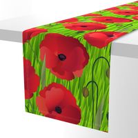 Red Poppy Flowers on Grass