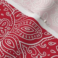 Paisley White on Red