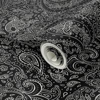 Paisley White on Black