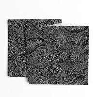 Paisley White on Black