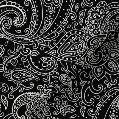 Paisley White on Black Fabric | Spoonflower