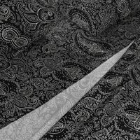 Paisley White on Black