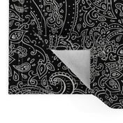 Paisley White on Black