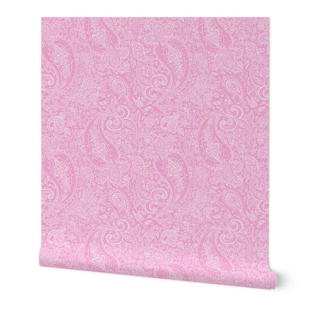 Paisley White on Pink