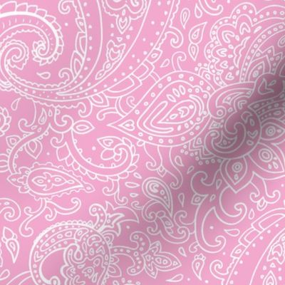 Paisley White on Pink