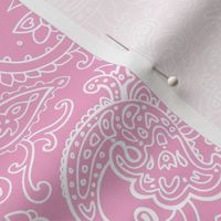 Paisley White on Pink