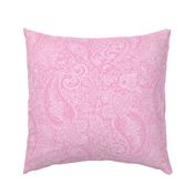 Paisley White on Pink