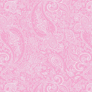 Paisley White on Pink