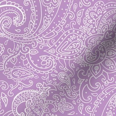 Paisley White on Purple