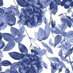 Nostalgic Blue on White Pierre-Joseph Redouté Chinoiserie Roses, Antique Flowers Bouquets, vintage home decor,  English Fabric
