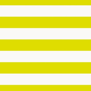 one inch citron horizontal stripe