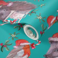 Christmas Hedgehog and robin santa christmas holiday