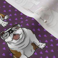 Bulldog Cool Purple Love