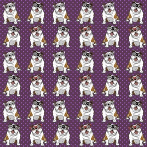 Bulldog Cool Purple Love