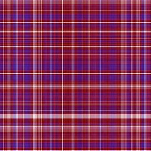 Berry Red Plaid 3