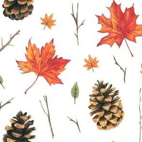 Leaves and Pinecones