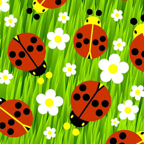Lady Bugs and Daisies on Green Grass