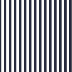 Blue and white vertical stripes