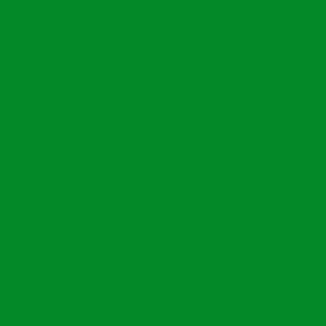 Elf Green Solid Colour