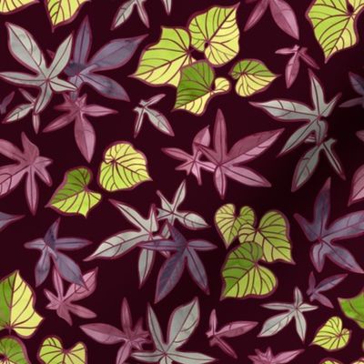 Sweet Potato Leaves / Burgundy