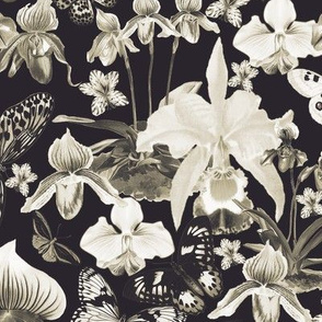 Orchids and Butterflies Greyscale