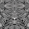 8043700-geometric-zebra-by-jeger_studio
