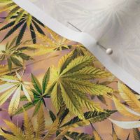 Pale Lavender Green Cannabis