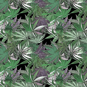 Cannabis Green Joy