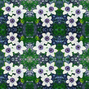 Anemone Quilt