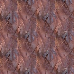 Chicken Feathers: Prunella