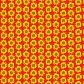 sunflowers on red