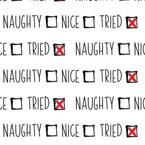 Naughty or Nice, I Tried