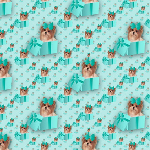 Parti Yorkie Present - Teal