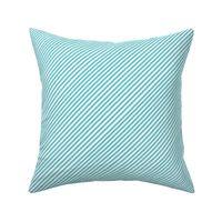 Robins Egg Blue Diagonal Stripes