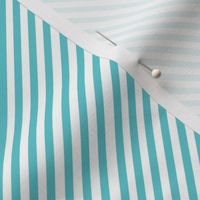 Robins Egg Blue Diagonal Stripes