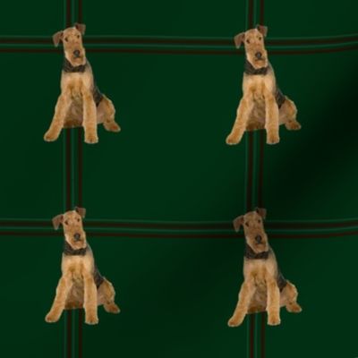 Airedale Plaid #2