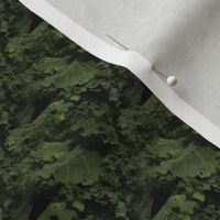 Kale Ruffles | Seamless Photorealistic Veggie Print