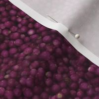 Beautyberries | Seamless Photorealistic Fruit Print