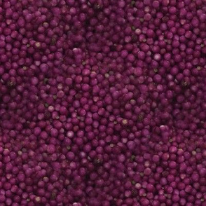 Beautyberries | Seamless Photorealistic Fruit Print