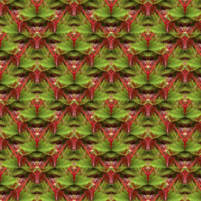 Evil Okra Lattice | Vegetable Kaleidoscope Print