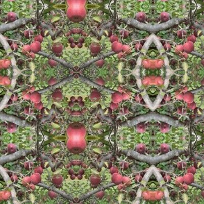 Red Apple Victorian Kaleidoscope